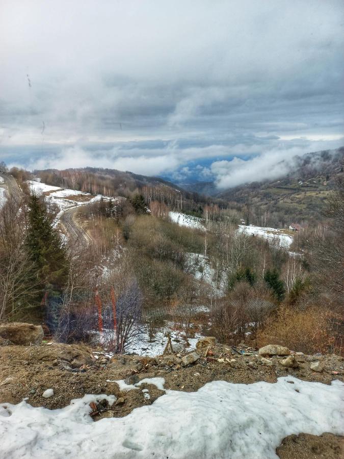 Milmari Resort N56 Kopaonik Wellnes&Spa Bagian luar foto